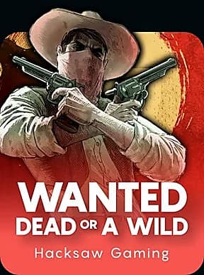 Wanted Dead or a Wild game artwork
